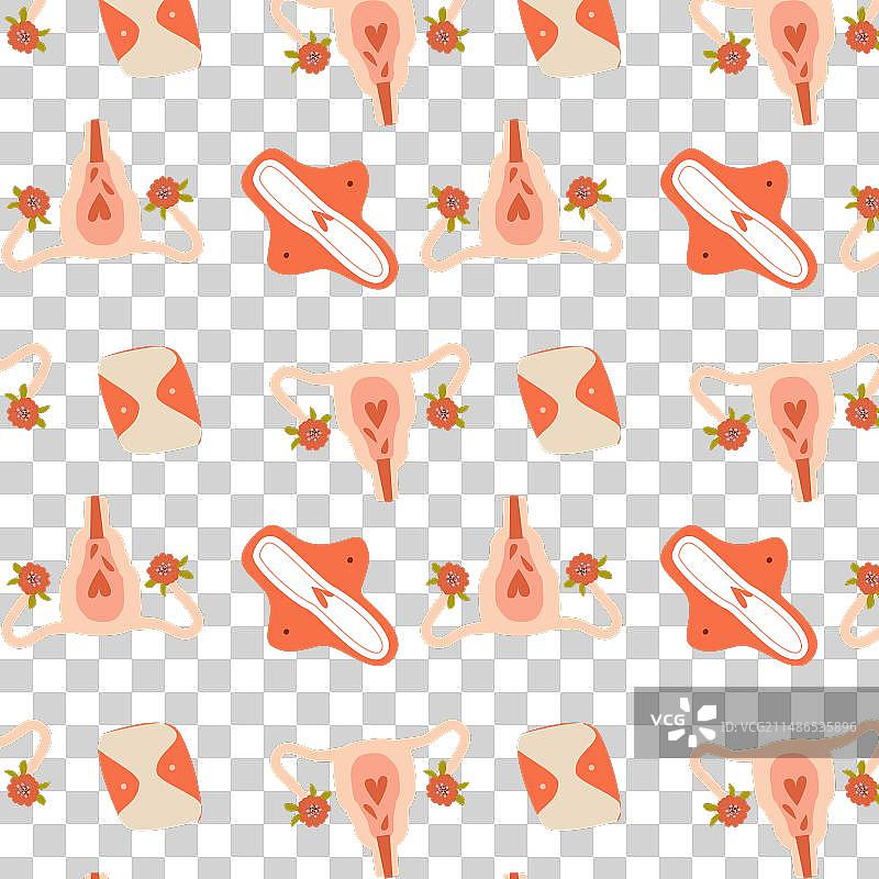 女性生殖系统与卫生巾图片素材