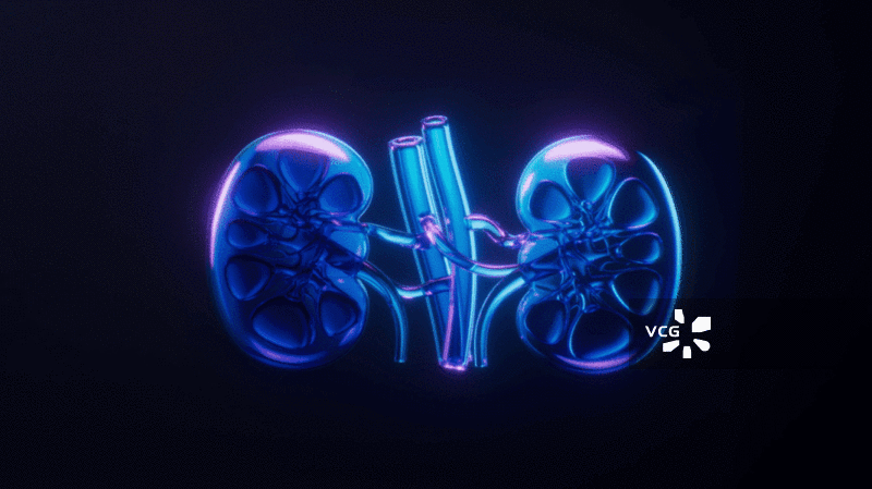 肾脏与霓虹灯光效果循环动画3D渲染图片素材