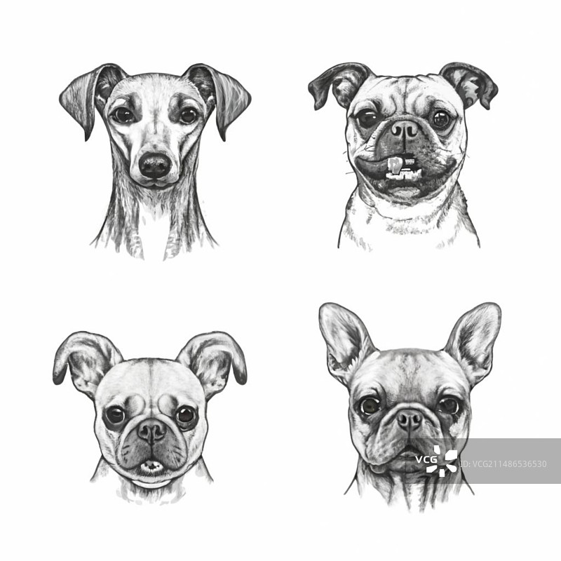 卡通可爱小狗涂鸦集合图片素材