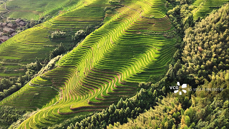梯田图片素材