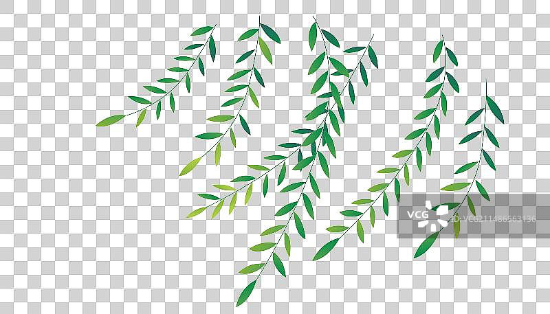 柳叶春天春分插画图片素材