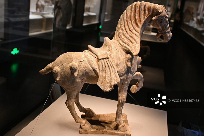 天水市博物馆历史文物图片素材