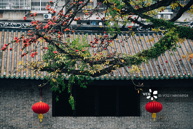 广州市光孝寺图片素材