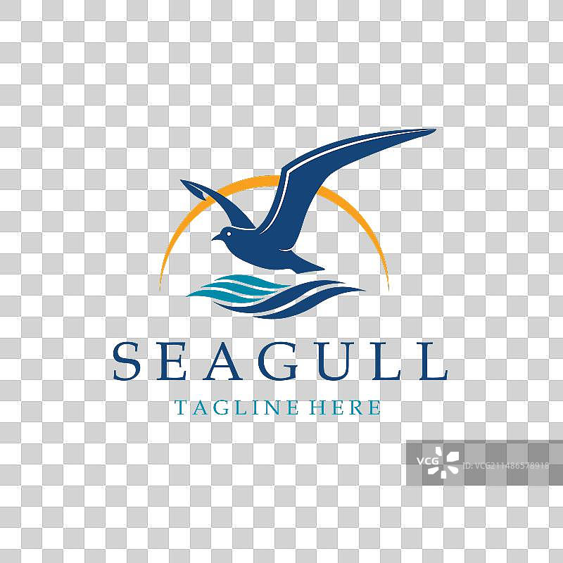 海浪与海鸥图片素材