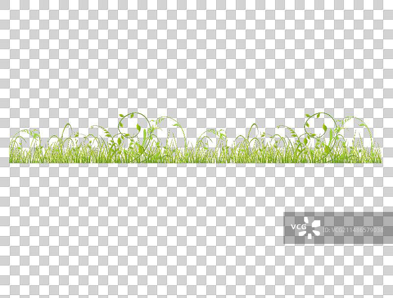 逼真春季无缝横向边框图片素材