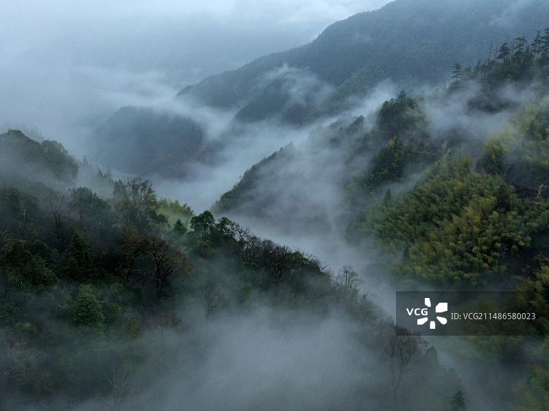 浙南春天 青山晨雾 山对天的高角度视图图片素材