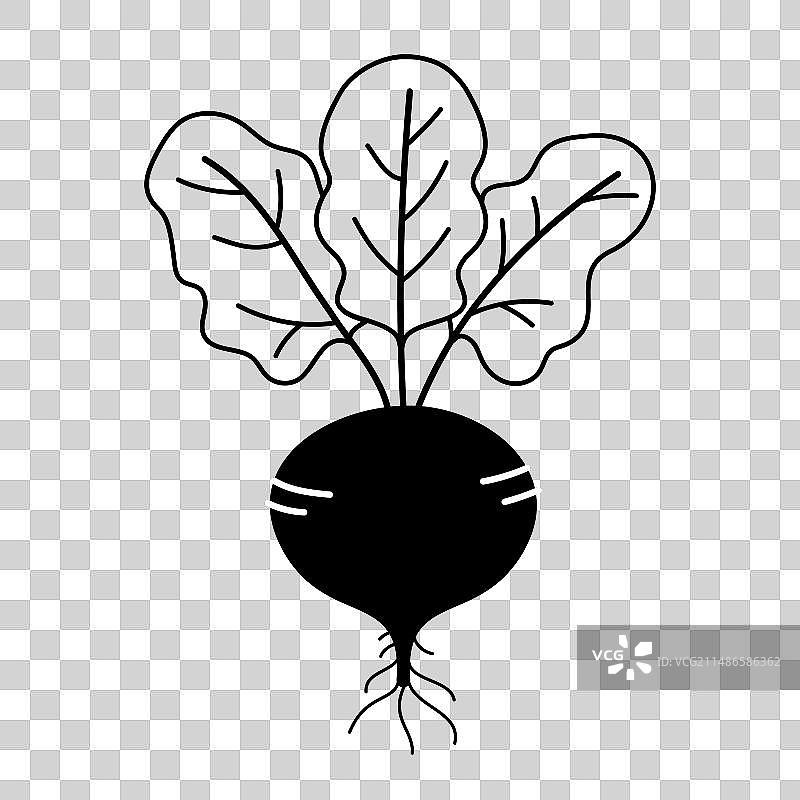 甜菜黑白线性图标图片素材