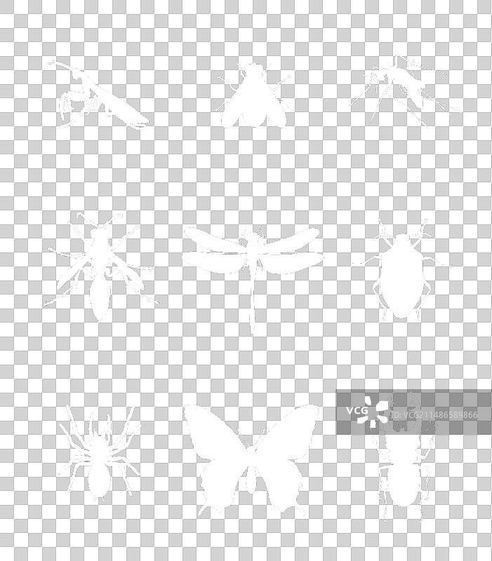 昆虫剪影合集图片素材