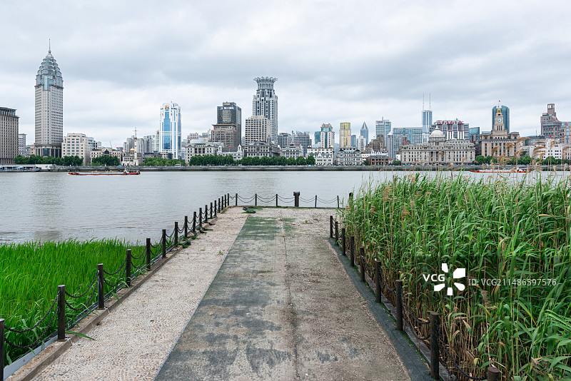 上海外滩万国建筑博览群和黄浦江边上茂密葱绿的芦苇荡图片素材