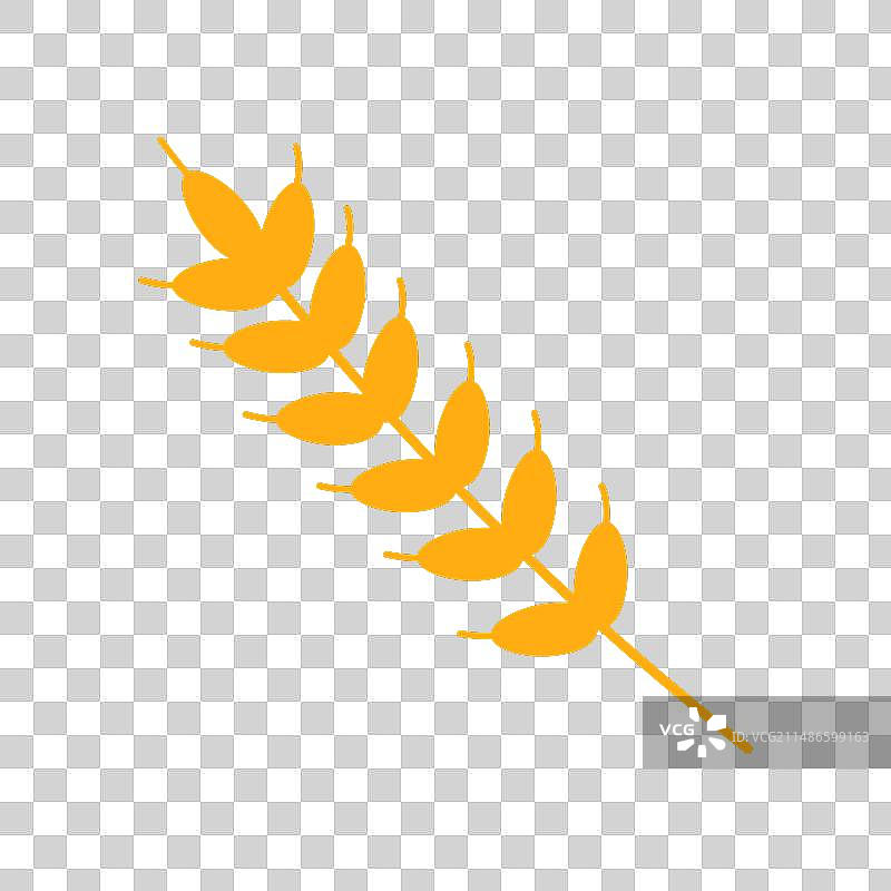 带黄色的小麦穗和茎图片素材