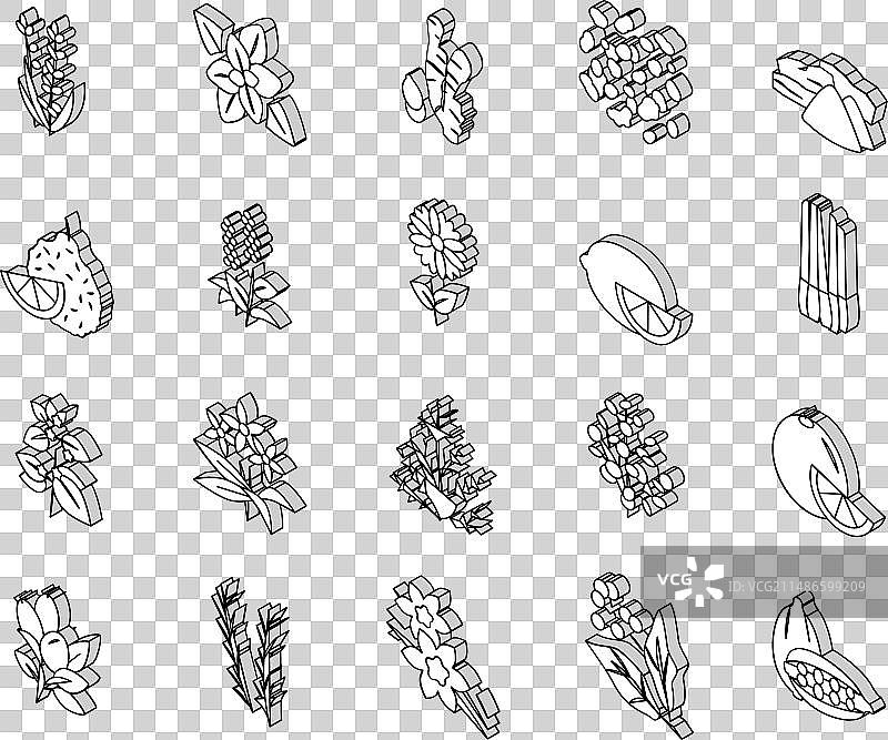 2.5D精油草本系列等距图标图片素材