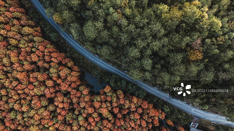 青山湖绿道图片素材