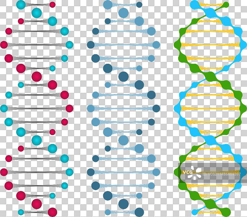 双链DNA分子的三种变体图片素材