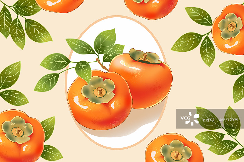 柿子包装插画图片素材