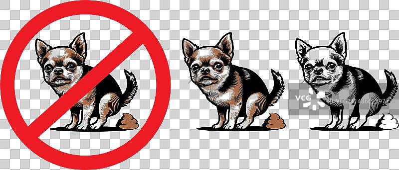 小型吉娃娃犬便溺禁止标志图片素材