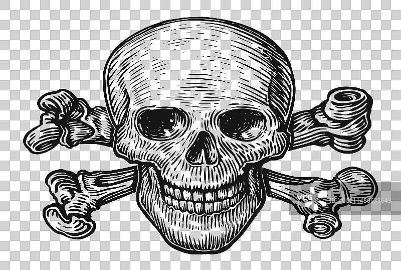 骷髅和骨头人类骨骼海盗头图片素材