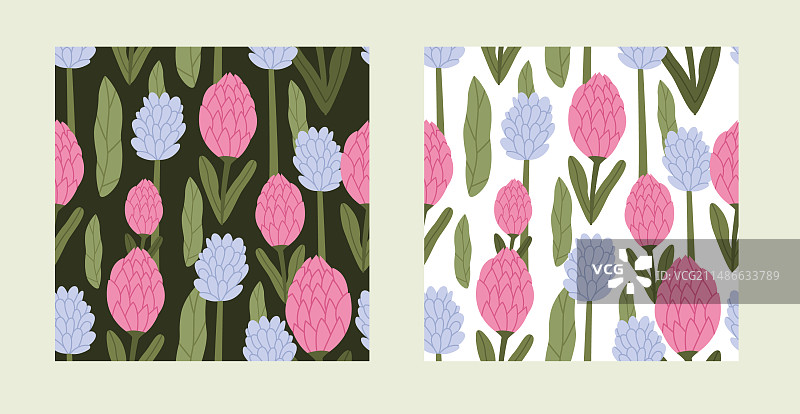 帝王花无缝图案集合图片素材