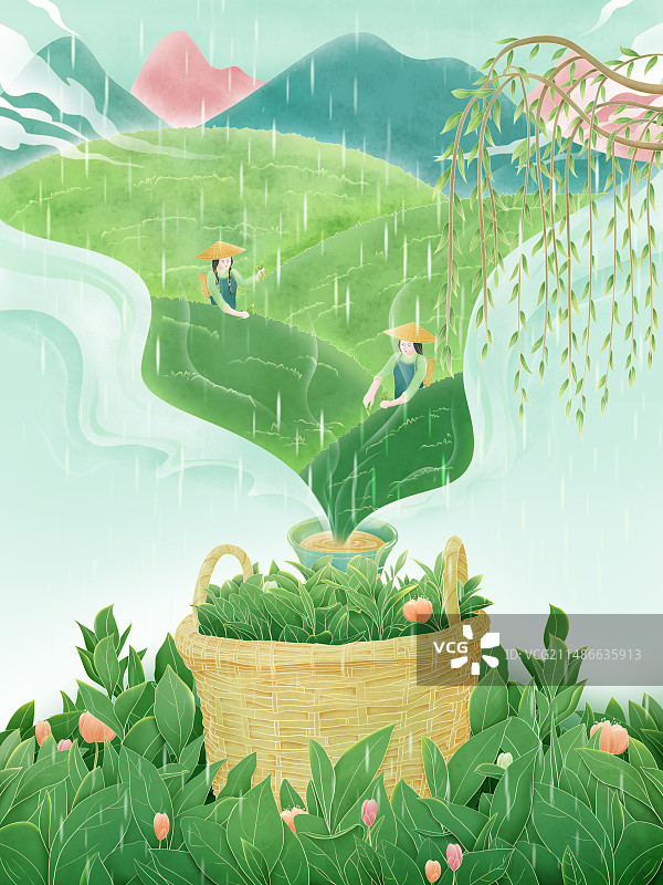 谷雨节气采茶姑娘茶林茶叶插画图片素材