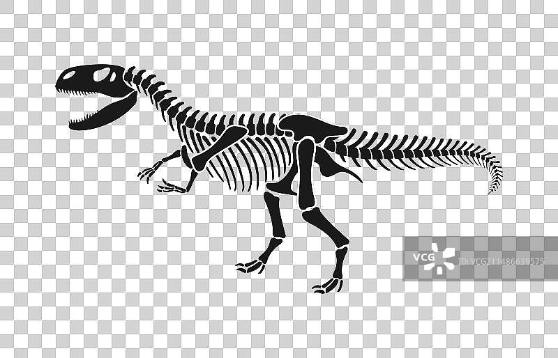 孤立的恐龙骨骼化石图片素材