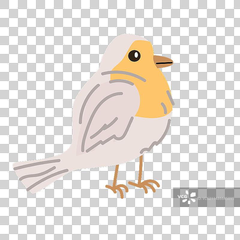 卡通春天知更鸟图片素材