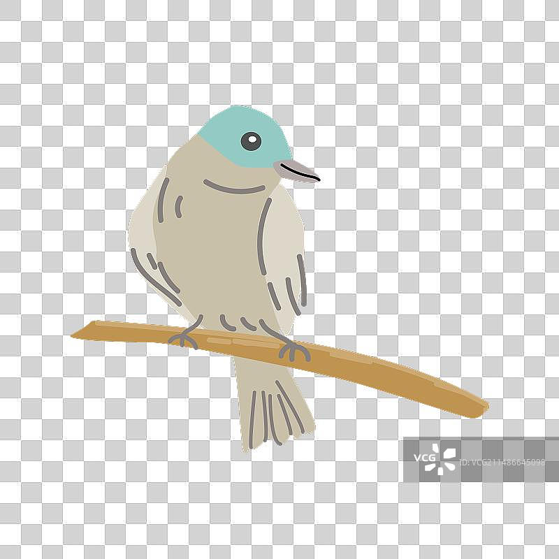 蓝色头的卡通春鸟图片素材