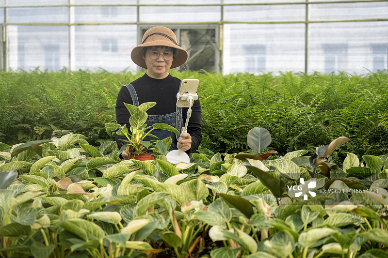 一个中年女性在植物大棚里图片素材
