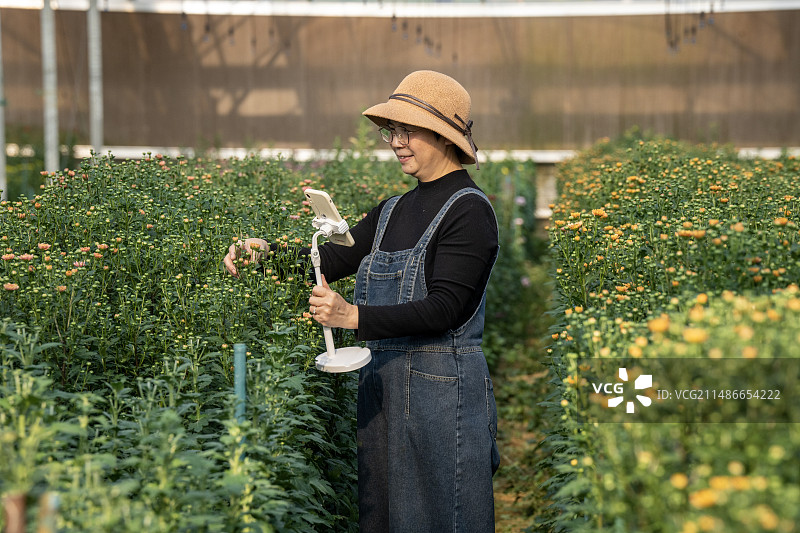 一个中年女性在植物大棚里图片素材