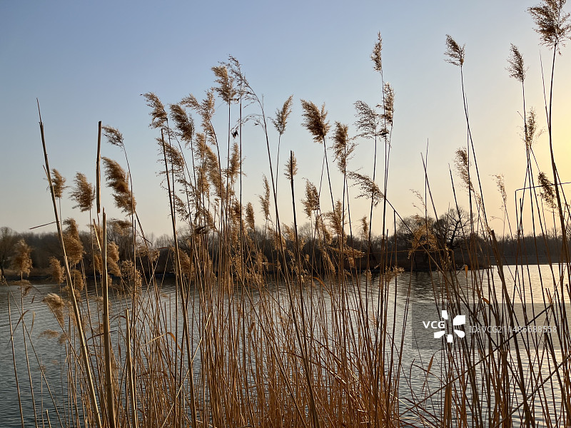 北运河落日余晖图片素材
