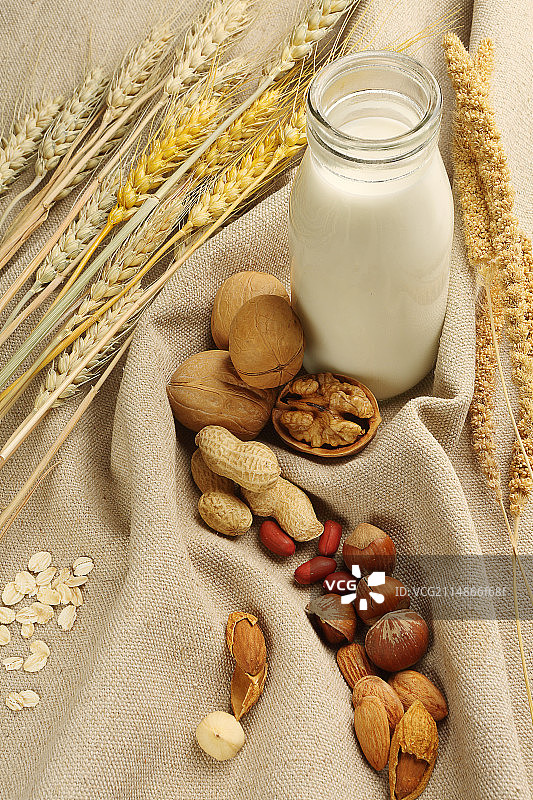 静物坚果麦穗牛奶图片素材