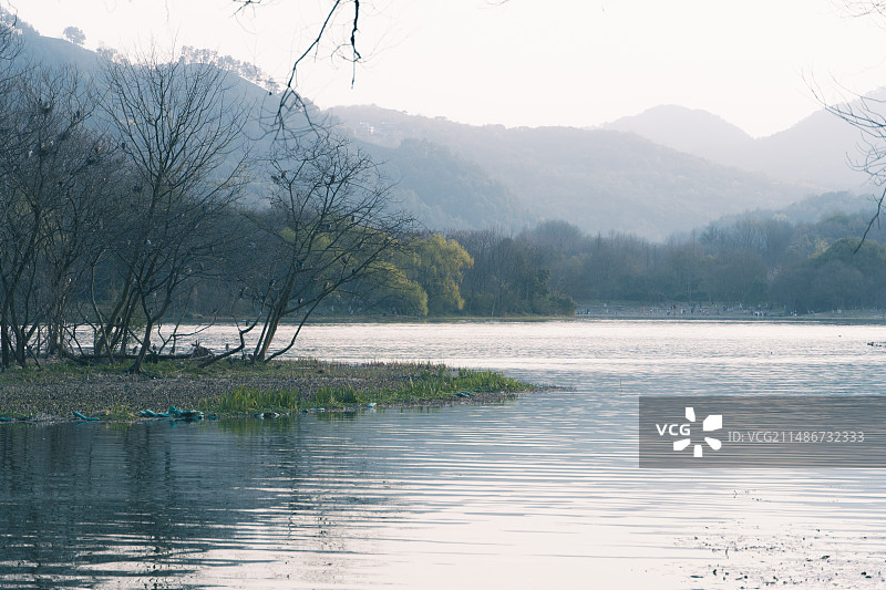 早春的杭州西湖茅家埠春色图片素材