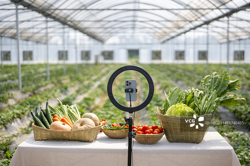 乡村电商直播带货图片素材