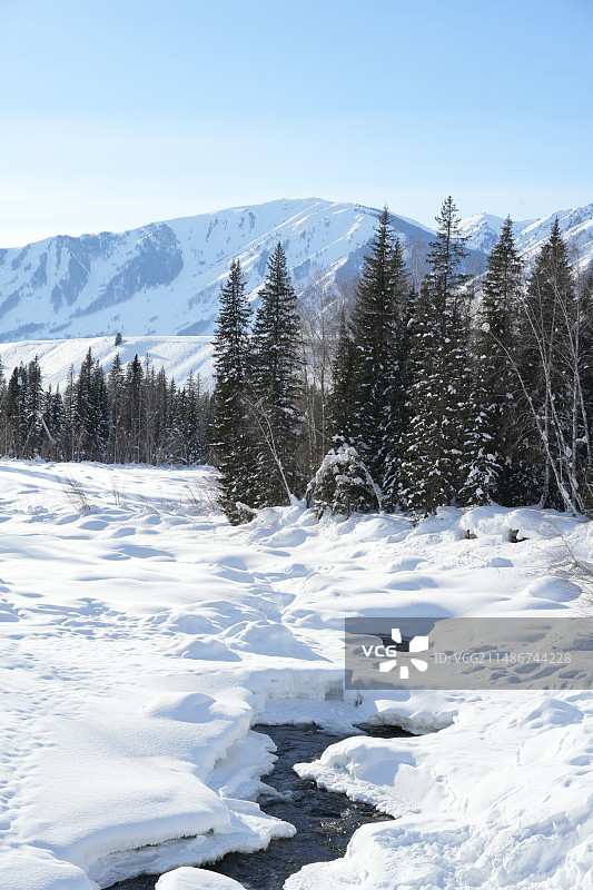 禾木的冬天图片素材