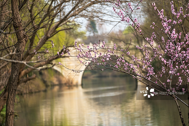 春天、烟花三月梅花掩映下的扬州宋夹城体育休闲公园、保障湖风光图片素材