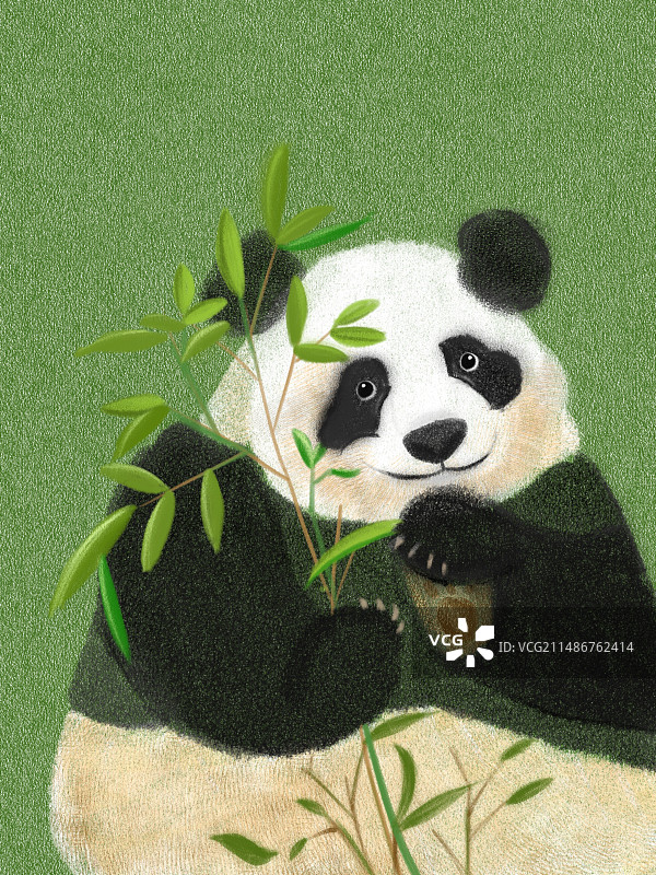 熊猫梅兰肉肉图片素材
