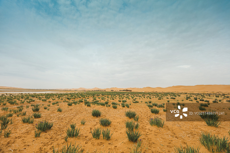 密境阿拉善图片素材