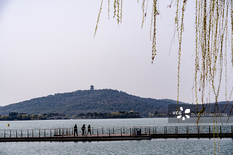 春风又绿江南岸图片素材