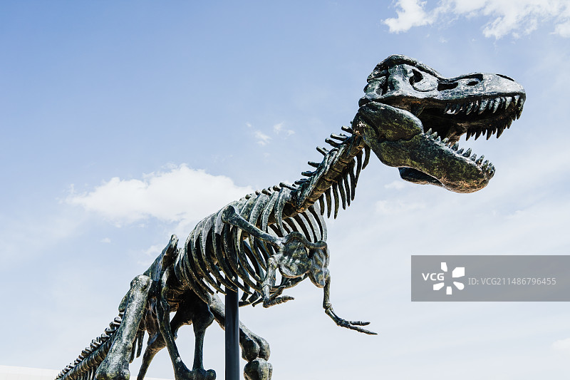 二连浩特国家地质公园图片素材