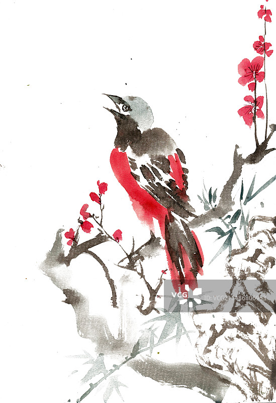 梅花枝上的小鸟图片素材