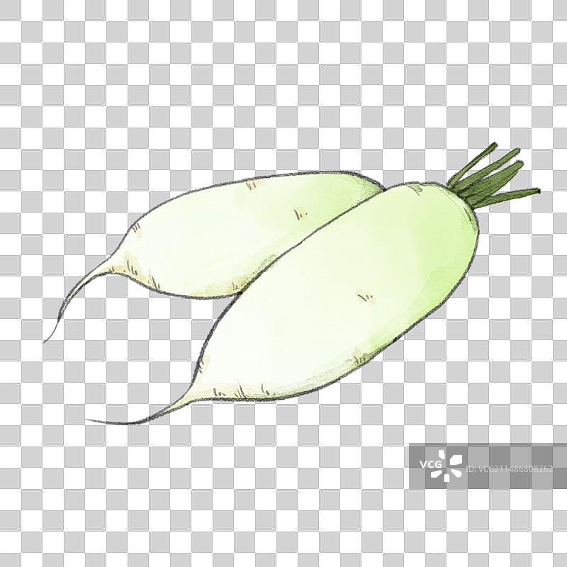 萝卜图片素材