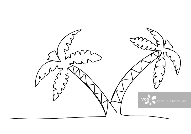 棕榈树单线绘画图片素材