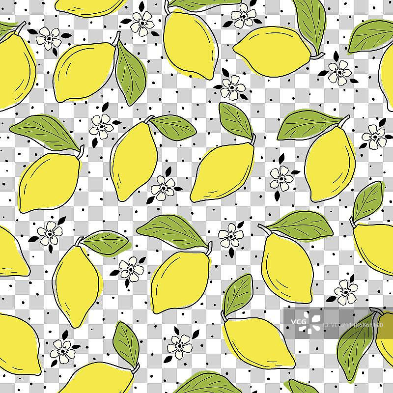 手绘柠檬叶无缝图案图片素材