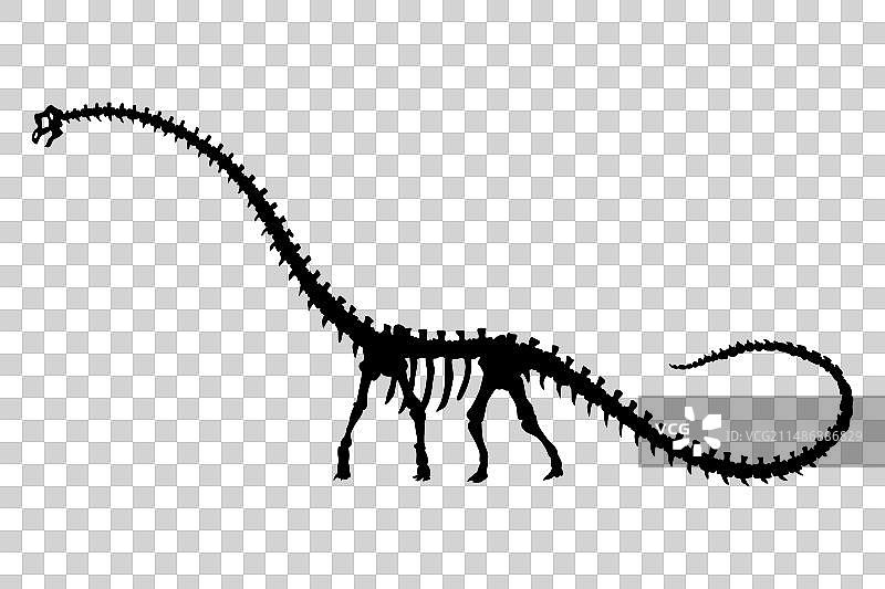 恐龙骨骼恐龙怪物图标形状图片素材