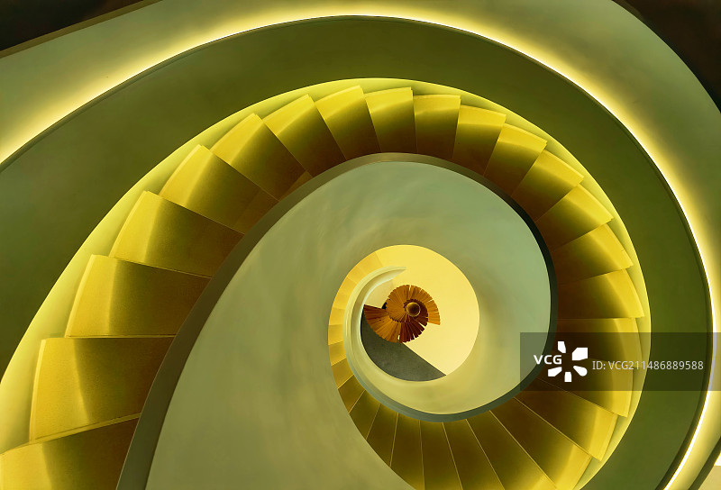 螺旋体图片素材