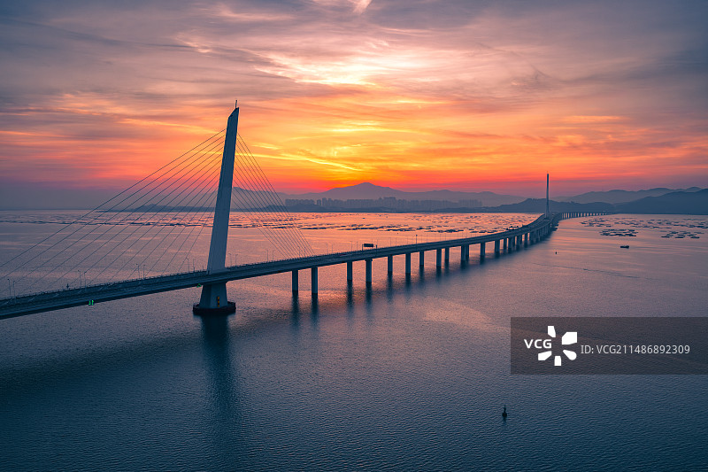 深圳湾大桥日出朝霞图片素材