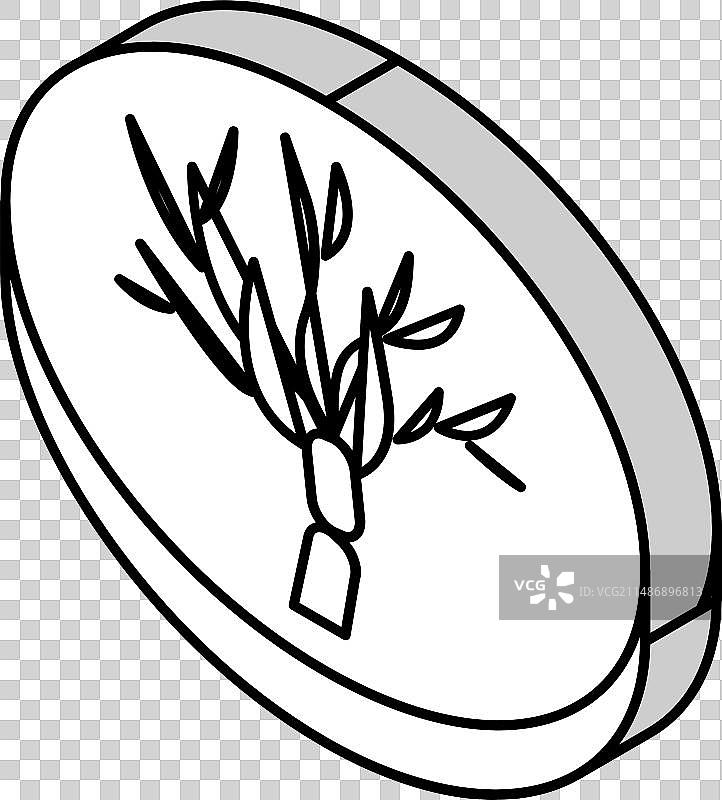 青霉菌等距视角图标图片素材