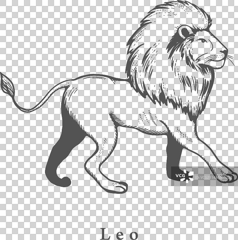 手绘狮子座星座符号图片素材