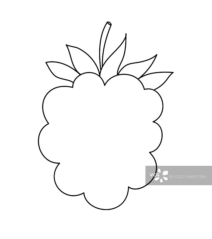 手绘覆盆子水果轮廓图片素材