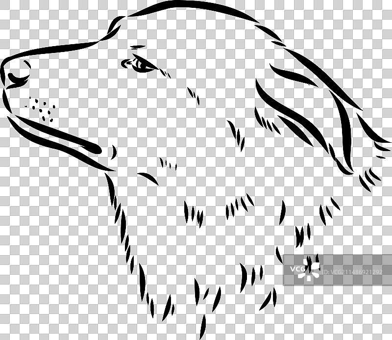 艾迪犬素描轮廓铅笔画作品图片素材