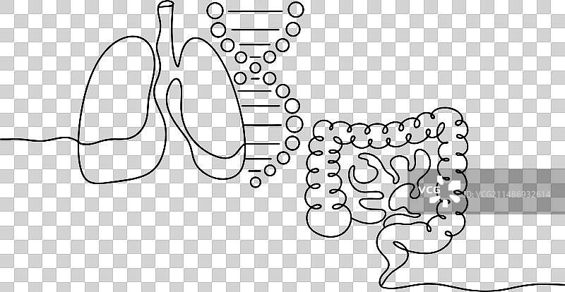 囊性纤维化单线图图片素材