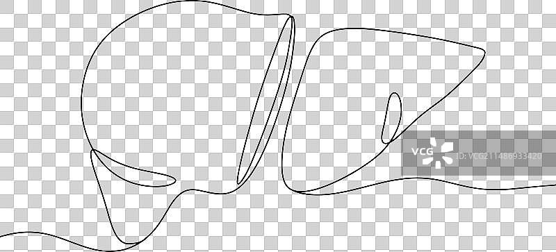 人体肝脏移植器官转移图片素材